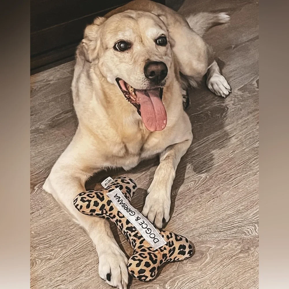 Leopard DG Dog Toy